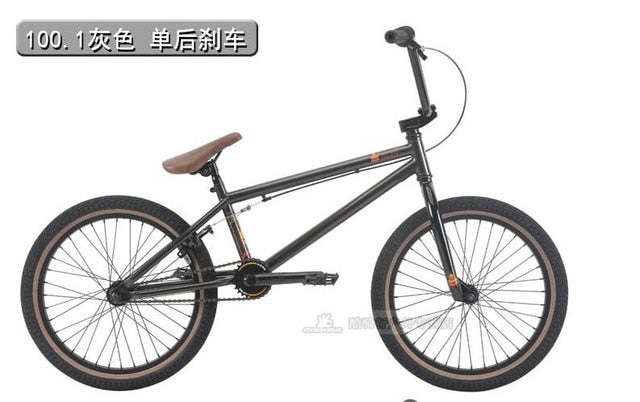 Bicicleta de rendimiento de 20 pulgadas HARO BMX LEUCADIA DLX 100.1