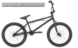 Bicicleta de rendimiento de 20 pulgadas HARO BMX LEUCADIA DLX 100.1